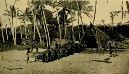Plate XXII - Argonauts of the western Pacific 1922 (page 165 crop)