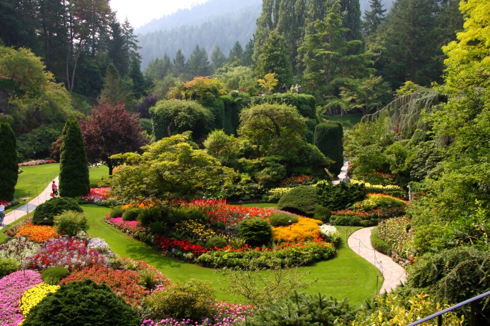 Landscape lawn victoria