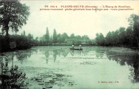 Pleine-Selve - étang de Moulitar