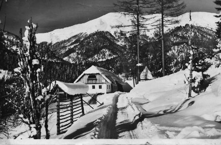 Planina pod Golico 02