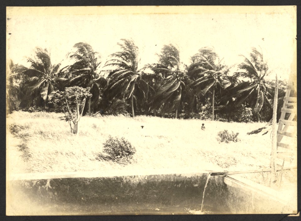 Plantage - BNA-DIG-HARTOG-ALBUM-CURACAO-007