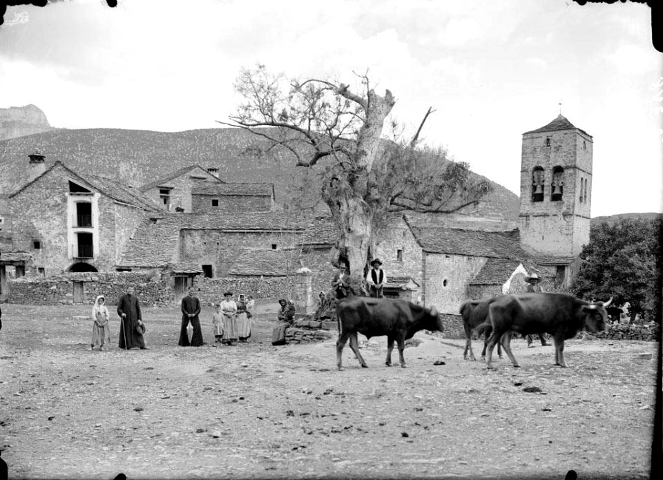 Plaça Major del poble de Buerba amb gent, inclosos dos sacerdots, i vaques, al fons cases del poble i l'església