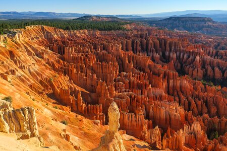 Usa park landscape