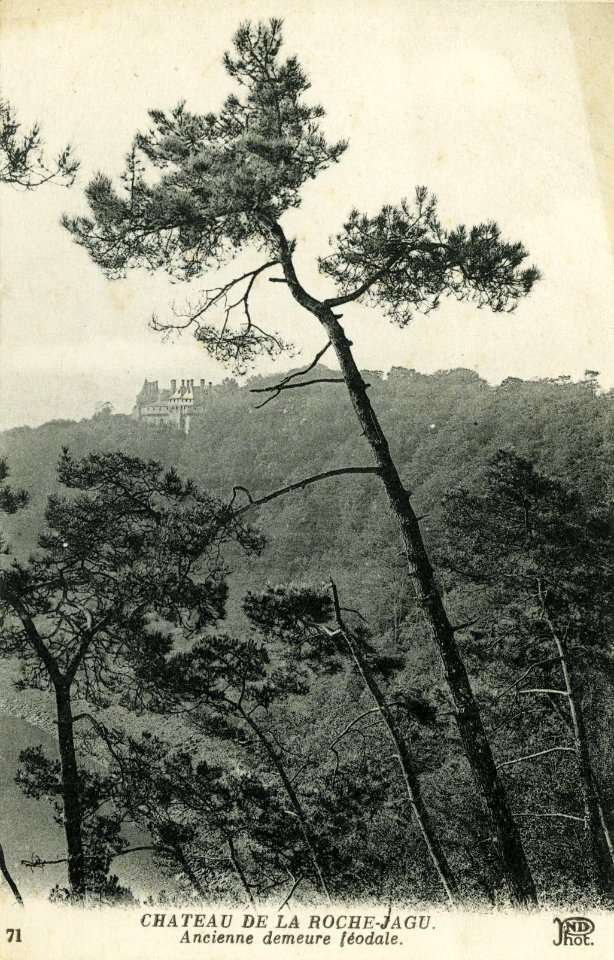 Ploézal - Château de la Roche-Jagu - AD22 - 16FI3988