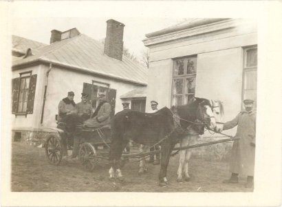 Planty. Плянты (1915) (3)