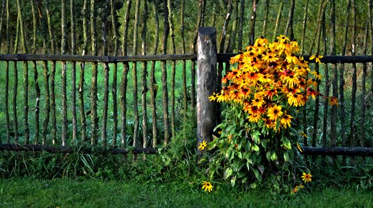 Nature country house garden