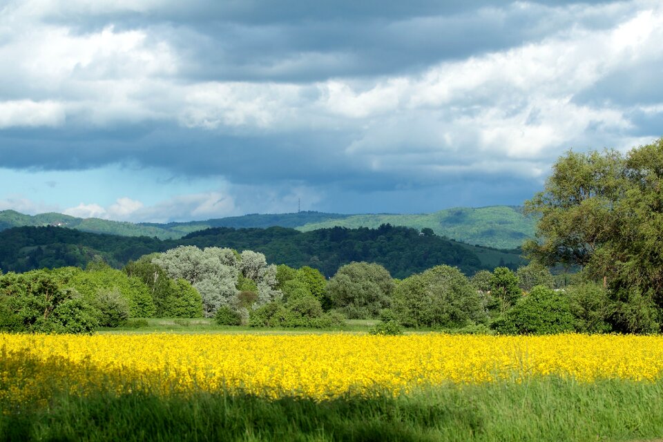 Panorama agriculture bergstrasse