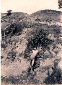 Pluschow, Wilhelm von (1852-1930) - n. 6039 - Timbrato - Ebay Canet