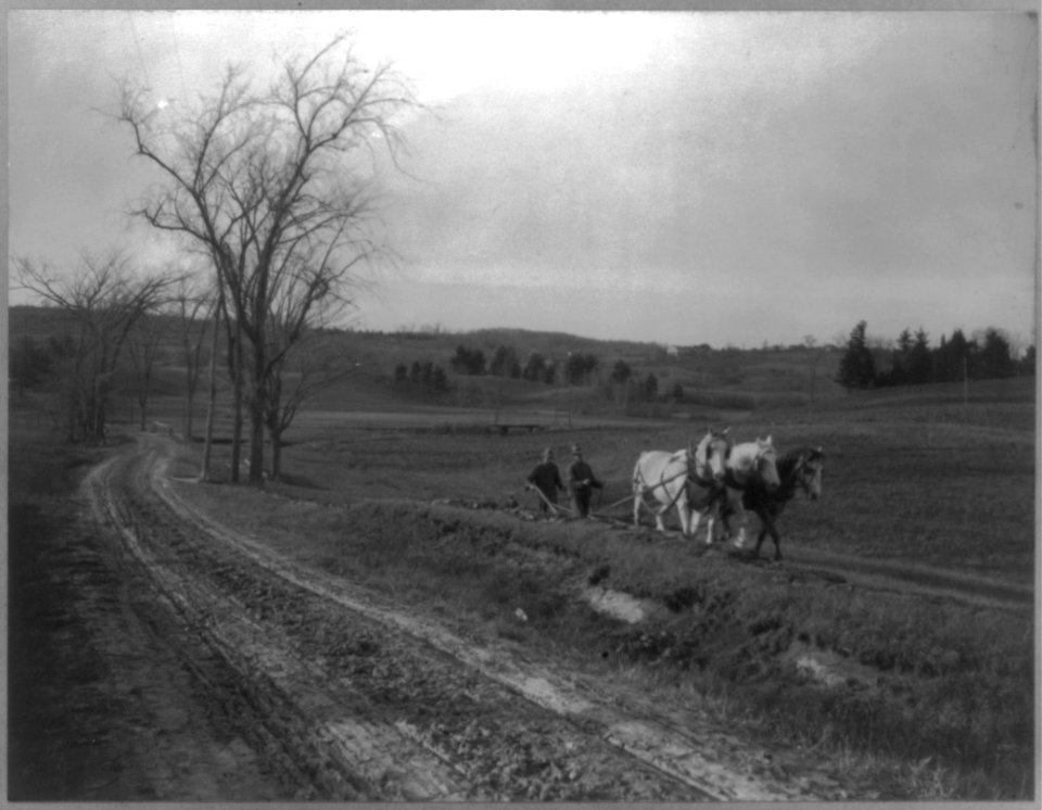 Ploughing Mary's field LCCN2004680357