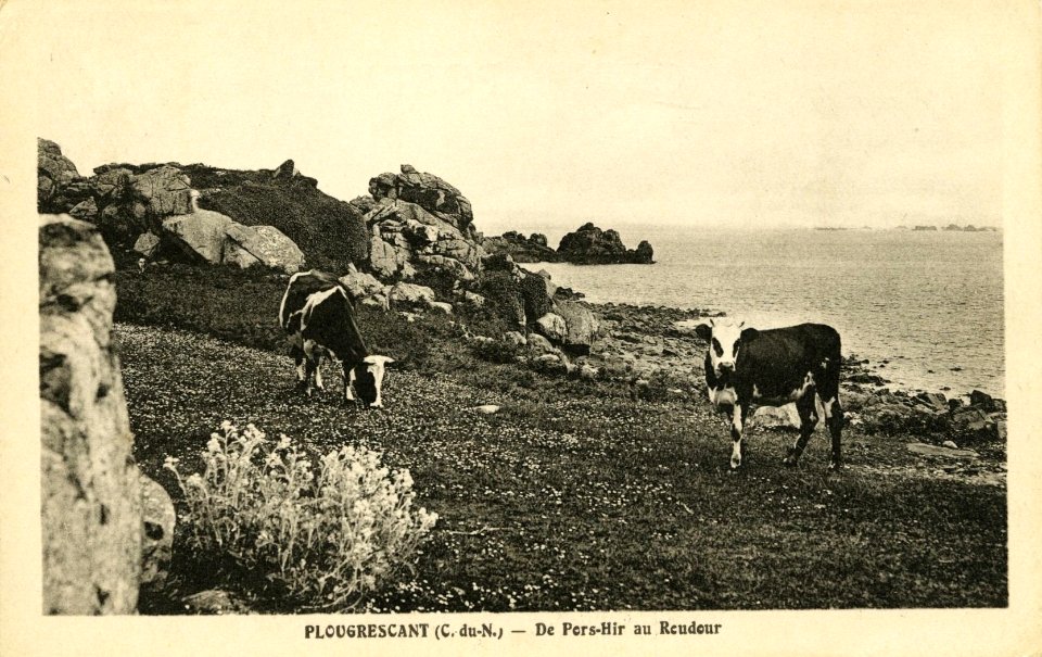 Plougrescant - De Pors-Hir au Reudeur - AD22 - 16FI4266