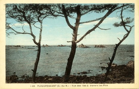 Plougrescant - Vue des îles à travers les pins - AD22 - 16FI4271