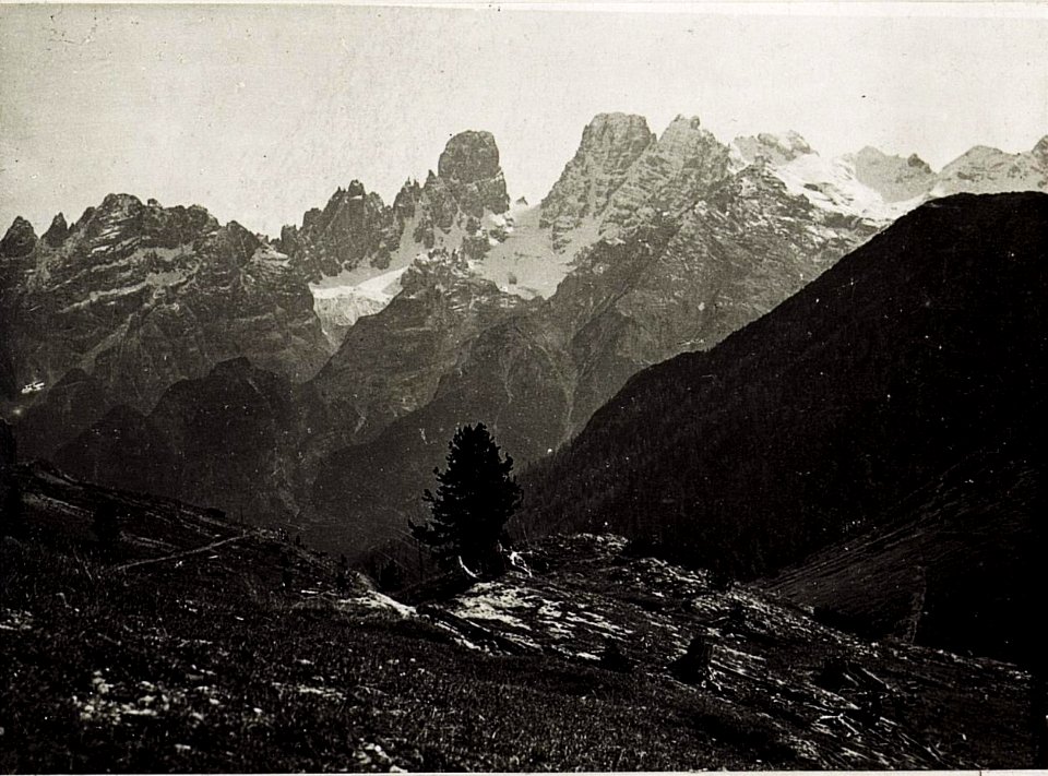 Plätzwiese mit Monte Cristallo. (BildID 15575802)