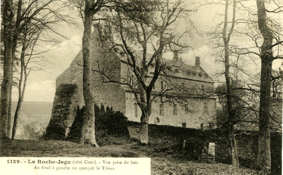 Ploézal - La Roche-Jagu vue prise du bois - AD22 - 16FI3992
