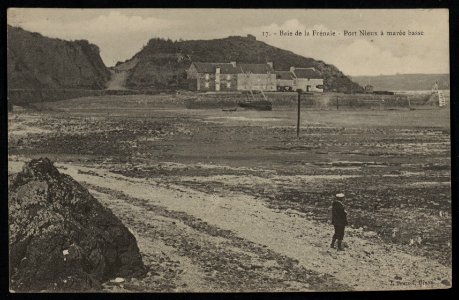 Plévenon - Baie de la Frénaie - Port Nieux à marée basse - AD22 - 16FI3838