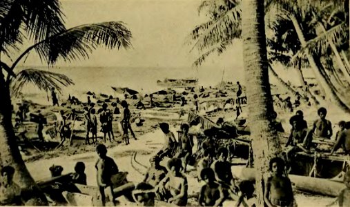 Plate XX - Argonauts of the western Pacific 1922 (page 155 crop)