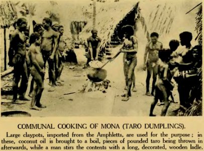 Plate XXXV - Argonauts of the western Pacific 1922 (page 239 crop)