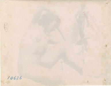 Plüschow, Wilhelm von (1852-1930) - n. 10626 - ex collection Levy - verso