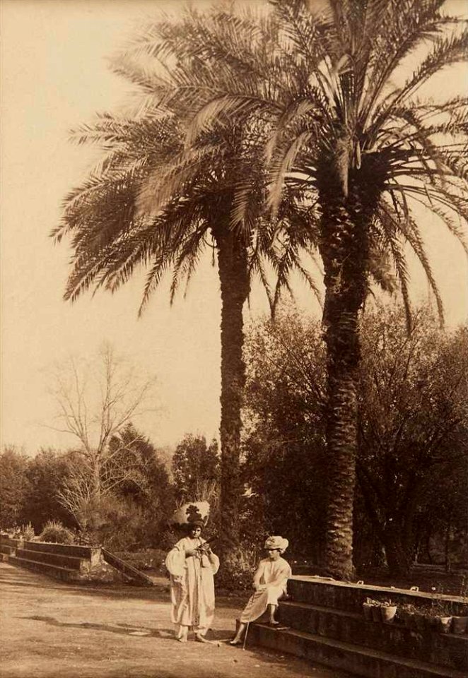 Plüschow, Wilhelm von (1852-1930) - n. 1096 - Two turbaned boys sitting and standing beneath palm trees