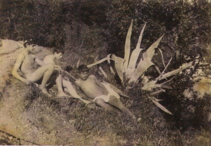 Plüschow, Wilhelm von (1852-1930) - n. 1124 - Zannier, p. 104