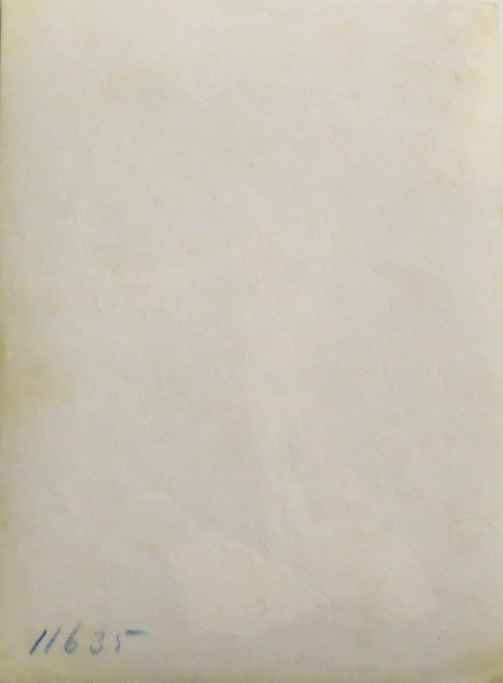Plüschow, Wilhelm von (1852-1930) - n. 11635 verso