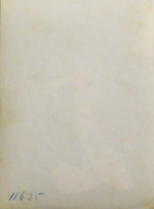 Plüschow, Wilhelm von (1852-1930) - n. 11635 verso