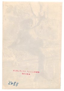 Plüschow, Wilhelm von (1852-1930) - n. 2488 verso