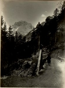 Plöckenstraße beim Wirtshause Eder. Im Hintergrunde der Cellonkofl. (BildID 15465383)