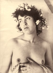 Plüschow, Wilhelm von (1852-1930) - n. 7174 - Timbro Via Sardegna 32, Roma (Galerie Bassenge)
