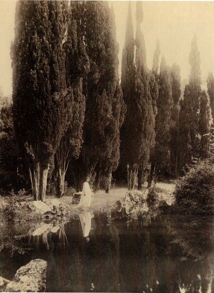 Plüschow, Wilhelm von (1852-1930) - n. 7836 - Frascati, Villa Falconieri - Et in Arcadia ego, p. 26