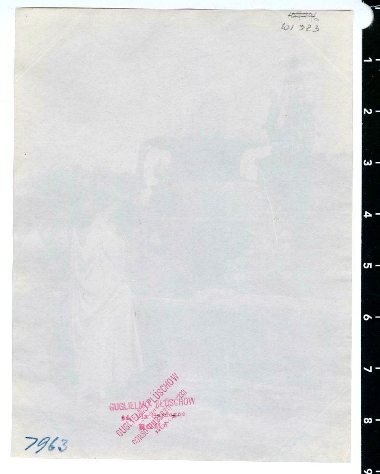Plüschow, Wilhelm von (1852-1930) - n. 7963 verso - ebay1