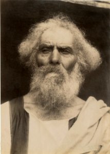 Plüschow, Wilhelm von (1852-1930) - n. 10653 - ex collection Levy - recto