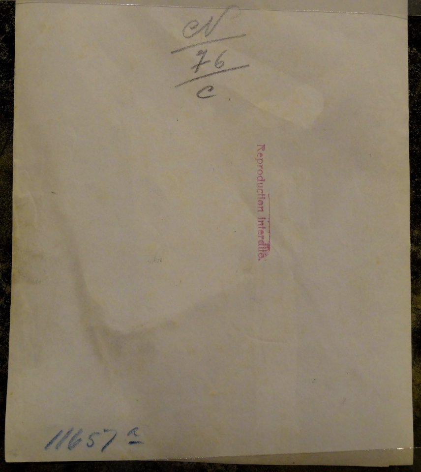 Plüschow, Wilhelm von (1852-1930) - n. 11657a verso - unstamped - ex Texbraun Collection, Galerie David Guiraud, Paris