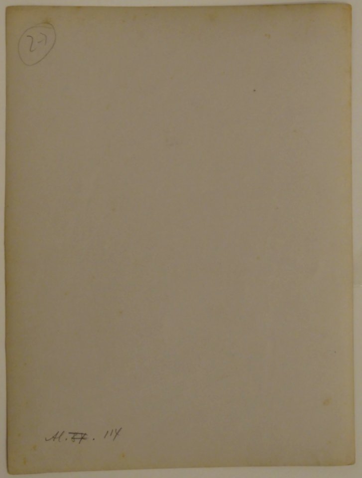 Plüschow, Wilhelm von (1852-1930) - n. Al 0114 ou 87 - unstamped - ex Texbraun Collection, Galerie David Guiraud, Paris