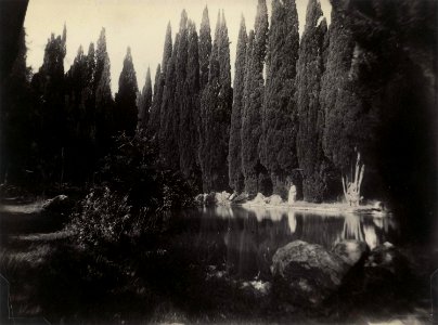 Plüschow, Wilhelm von (1852-1930) - n. 1833 - Villa Falconieri - Galerie Bassenge - Cm 16,5 x 22,3