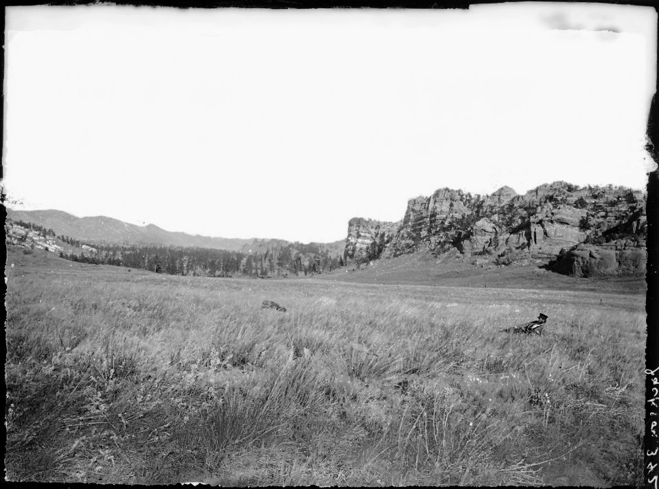 Pleasant Park. Colorado - NARA - 516950