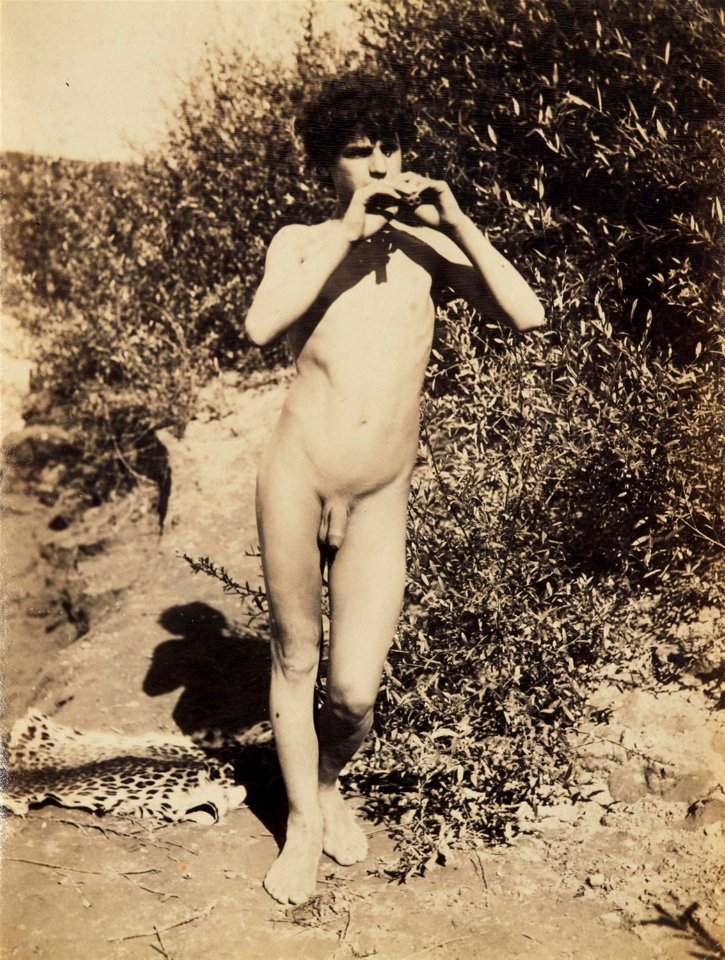 Plüschow, Wilhelm von (1852-1930) - n. 6049 - Galerie Lempertz