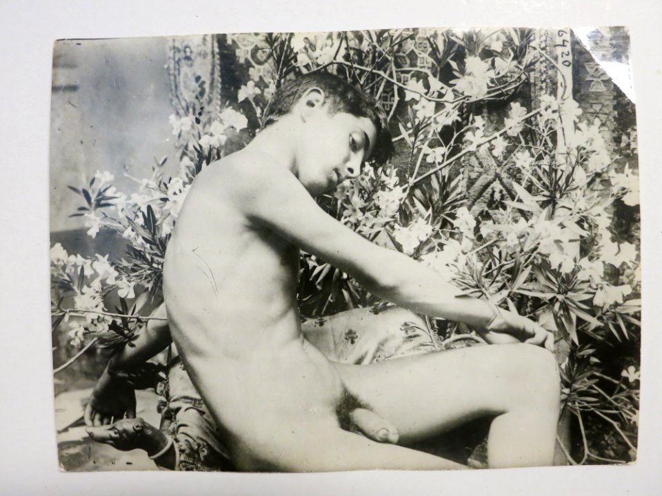 Plüschow, Wilhelm von (1852-1930) - n. 6420 recto - Asta Gonnelli