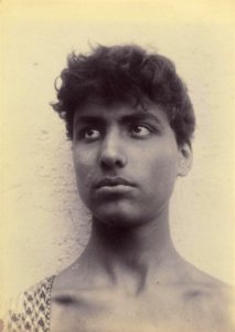 Plüschow, Wilhelm von (1852-1930) - n. 9503