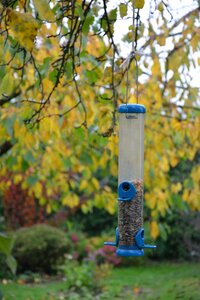 For the birds birds fatten
