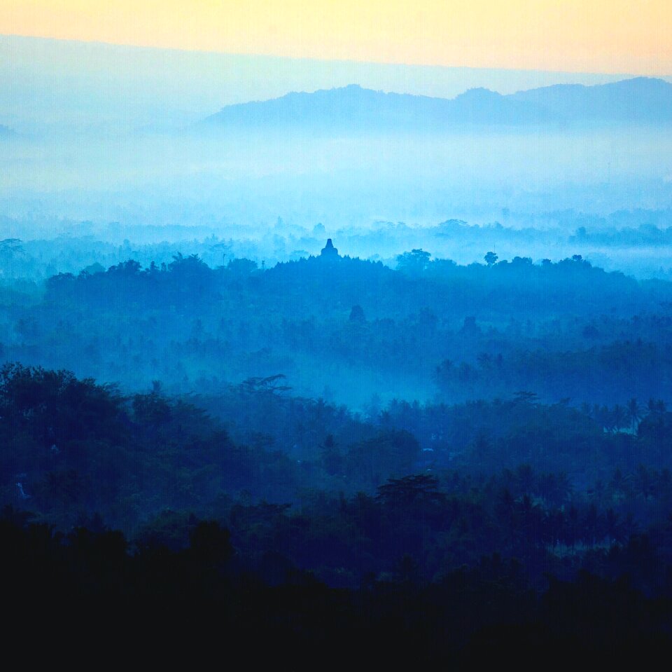 Plant nature mountain