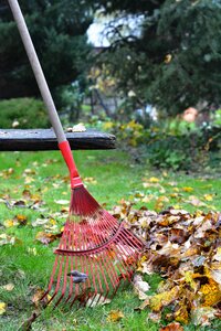 Foliage autumn rake the leaves