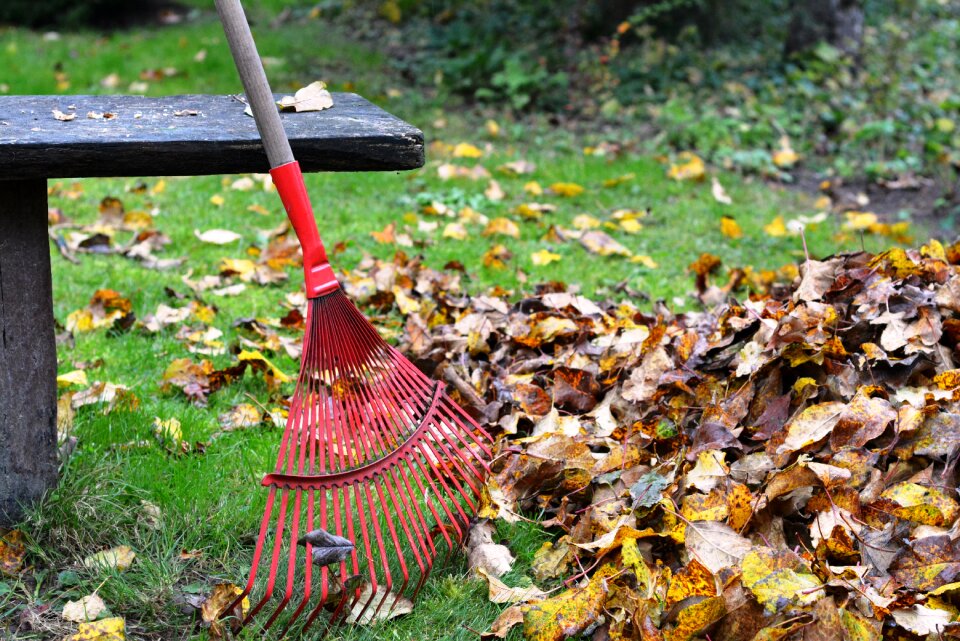 Foliage autumn rake the leaves