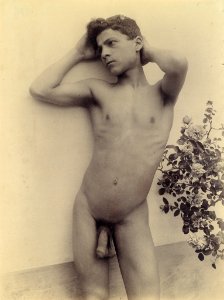 Plüschow, Wilhelm von (1852-1930) - n. 11089 - Gallo, p. 22 & Auch ich in Arkadien, p. 120