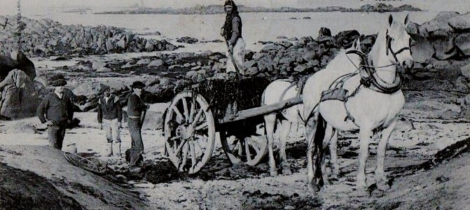 Plouescat Goémoniers sur la grève du Froutven