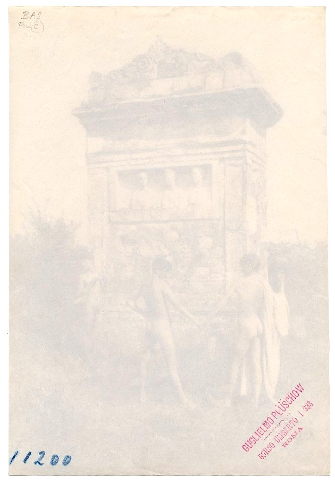 Plüschow, Wilhelm von (1852-1930) - n. 11200 v - Gérard Lévy collection