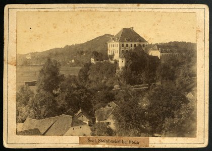 Pogled na grad Zaprice z Žal konec 19.stoletja