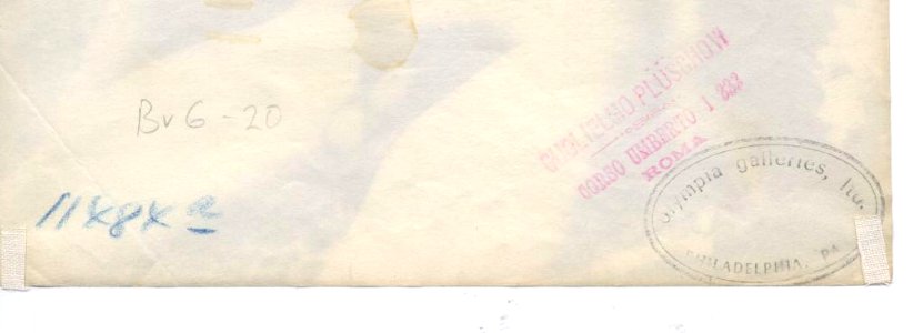 Plüschow, Wilhelm von (1852-1930) - n. 11484a verso