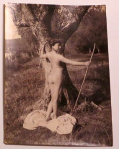 Plüschow, Wilhelm von (1852-1930) - n. 11635 recto