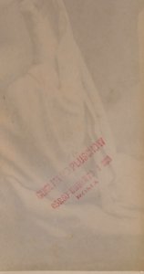 Plüschow, Wilhelm von (1852-1930) - n. 11670 verso - detail