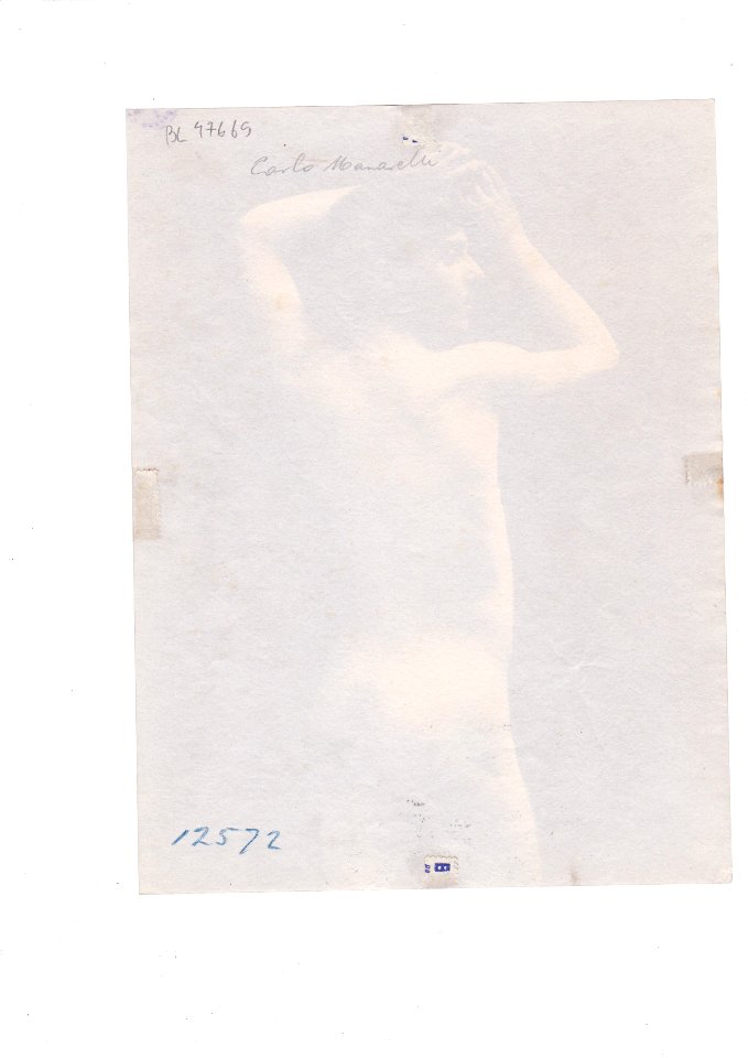 Plüschow, Wilhelm von (1852-1930) - n. 12572 verso - Carlo Manarelli - ex Texbraun Collection, Galerie David Guiraud, Paris